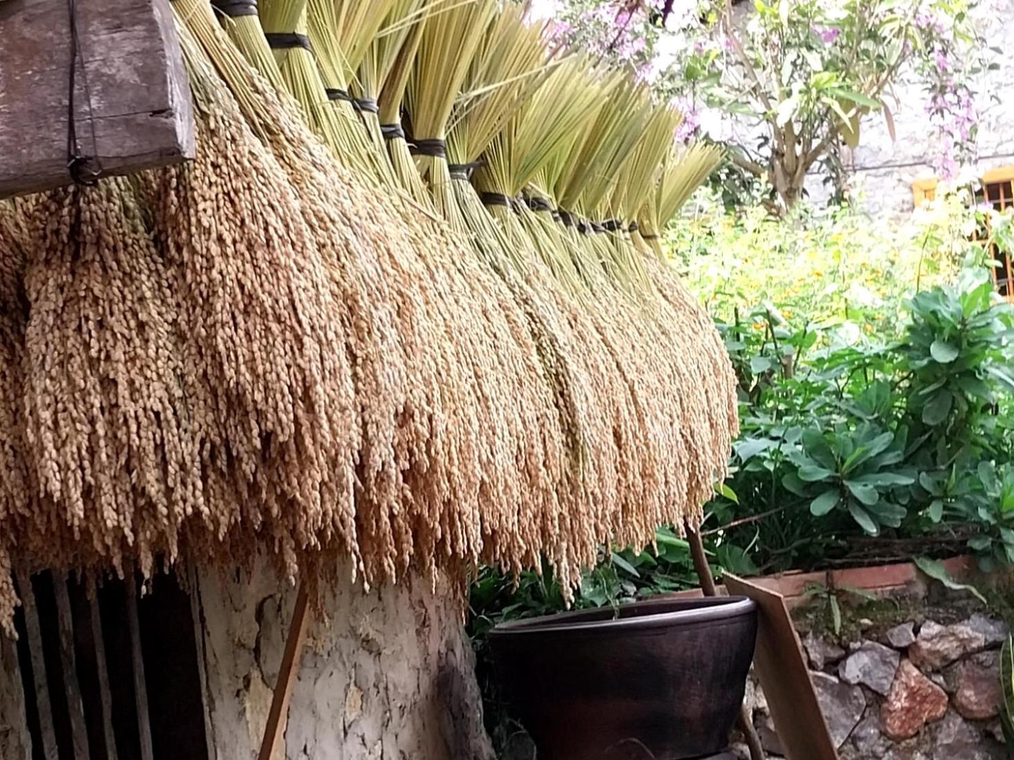 Trieu Hoan Homestay 까오방 외부 사진