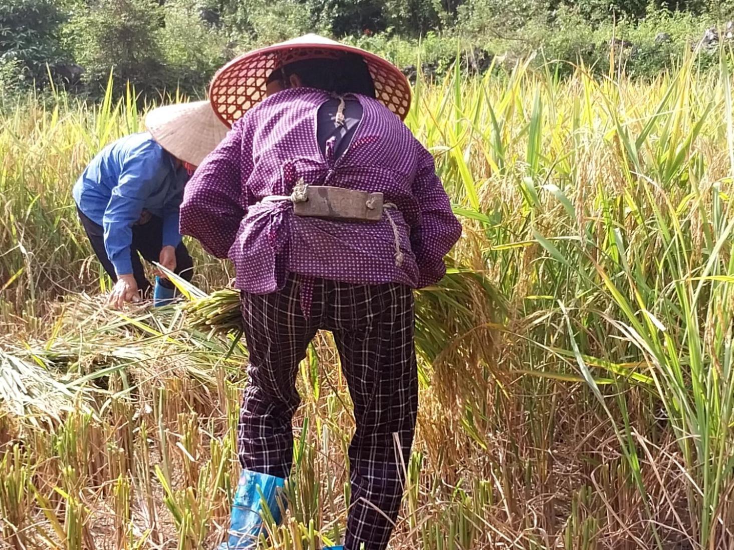 Trieu Hoan Homestay 까오방 외부 사진